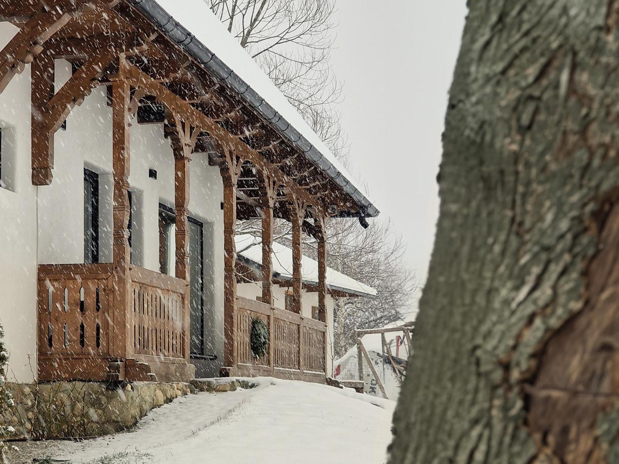 Plai Din Bran Villa Bran  Exteriör bild